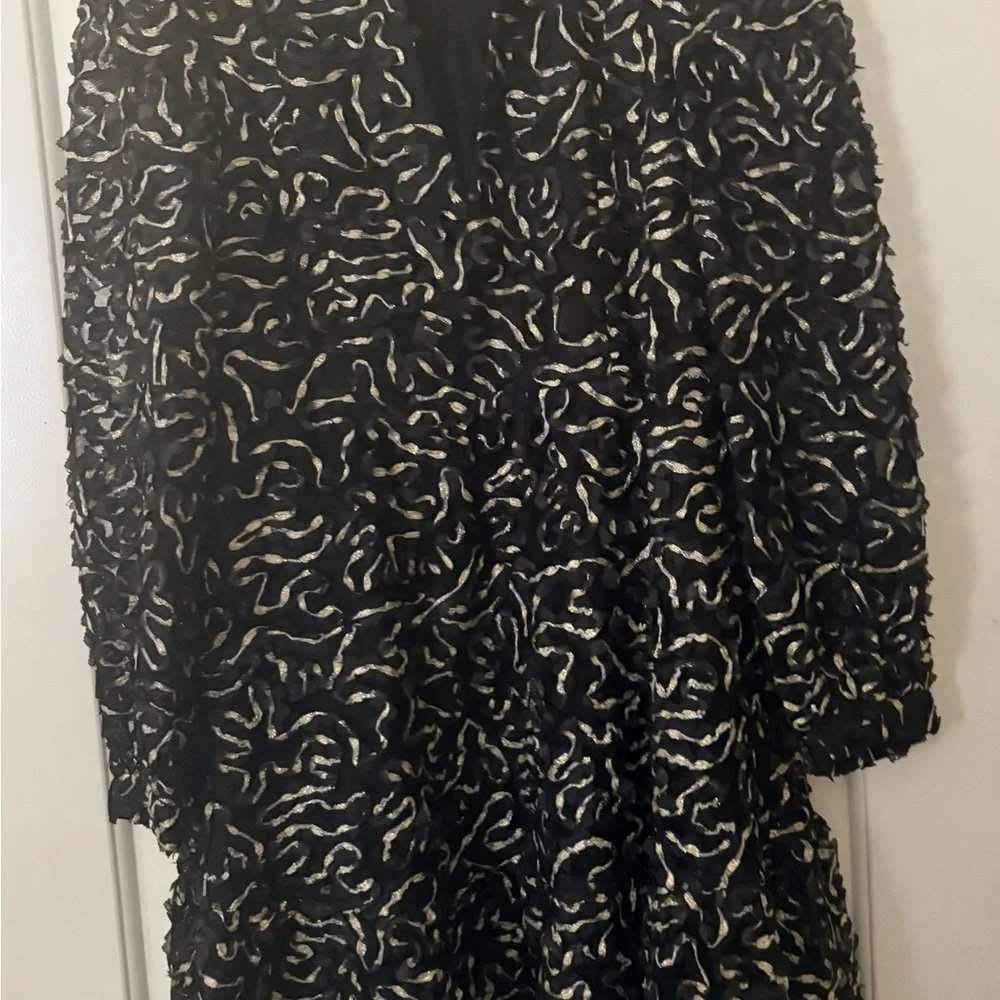 Tuckernuck Organza Palmerston Party Dress Black and Gold Mini Dress - Picture 3 of 4